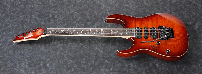 Entire top of the RG8570ZL-BSR