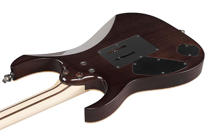 Back of the RG8570-BRE's body