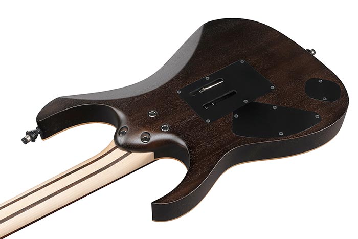 Back of the RG8620AH-AGF's body