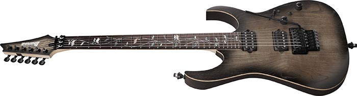 Entire top of the  RG8620AH-AGF