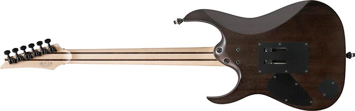 Entire back of the  RG8620AH-AGF