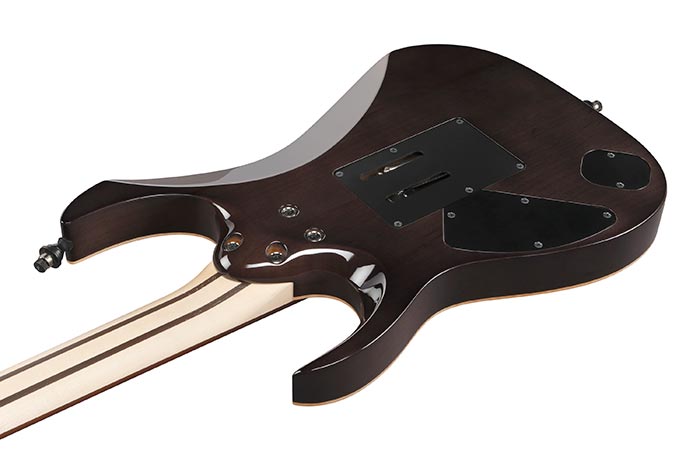 Back of the RG8870-BRE's body