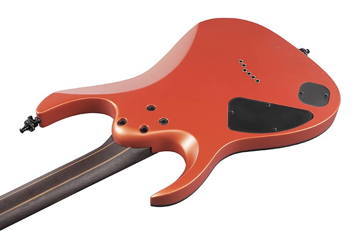 Back of the RGA61ALN-OEM's body