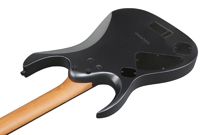 Back of the RGD61-BAM's body