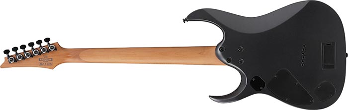 Entire back of the RGD61-BAM