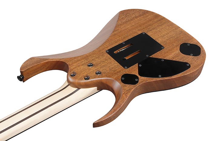 Back of the RGDR4327R-NTF's body