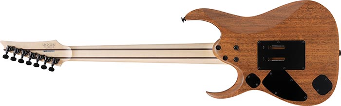 Entire back of the RGDR4327R-NTF