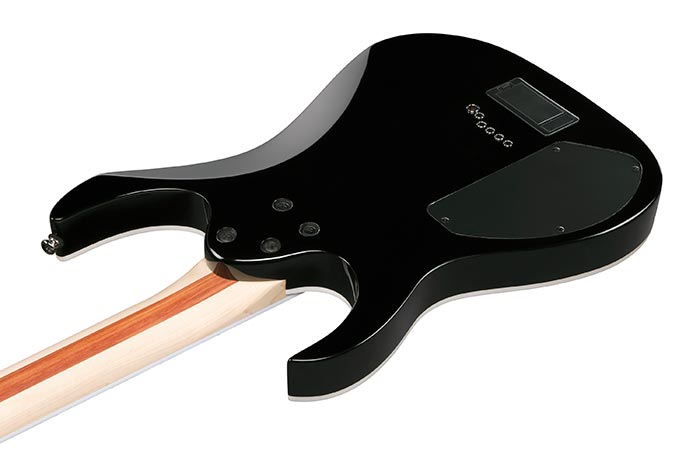 Back of the RGIB21-BK's body