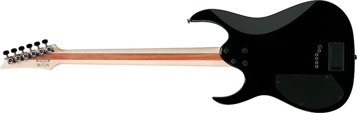 Entire back of the RGIB21-BK