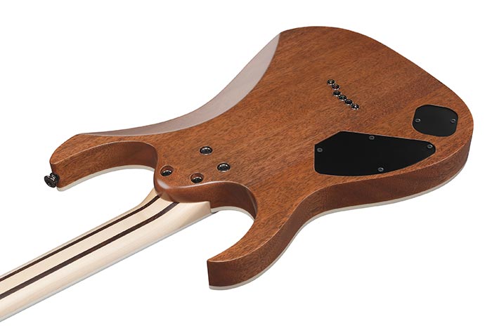 Back of the RGR5221R-TFR's body