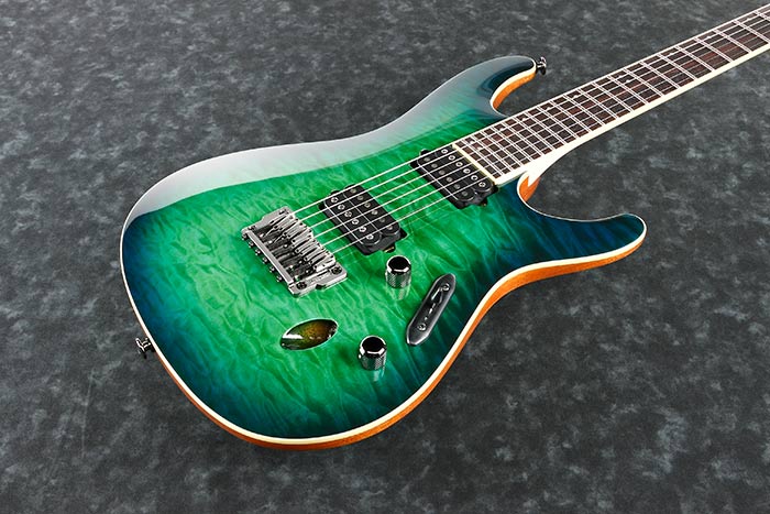 Top of the S6521Q-SLG's body