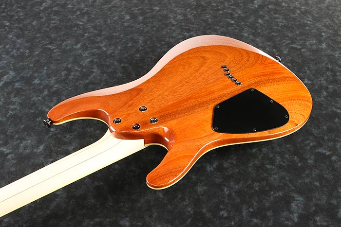 Back of the S6521Q-SLG's body