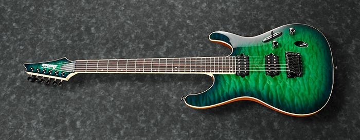 Entire top of the S6521Q-SLG