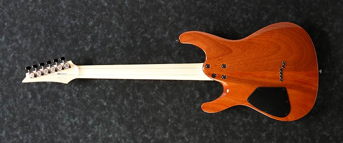 Entire back of the S6521Q-SLG