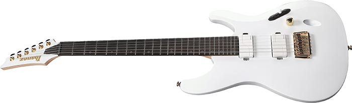 Entire top of the S721RG-WH
