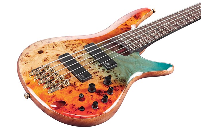 Ibanez sr1605dw top
