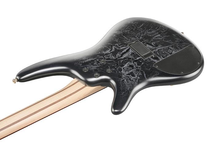 Back of the SR300EDX-BZM's body