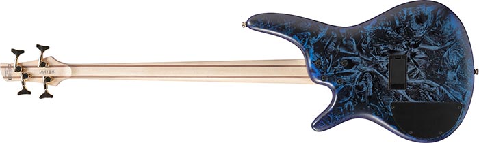 Entire back of the  SR300EDX-CZM