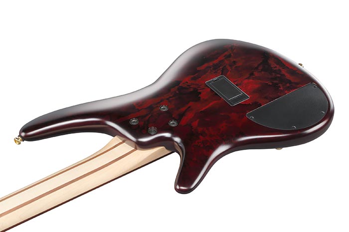 Back of the SR305EDX-WZM's body