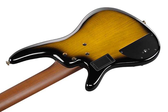 Back of the SR4505-DST's body