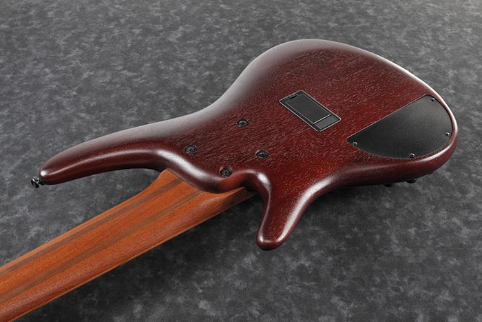 Ibanez sr506e top