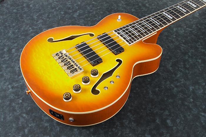 Tcb1006 ibanez hotsell