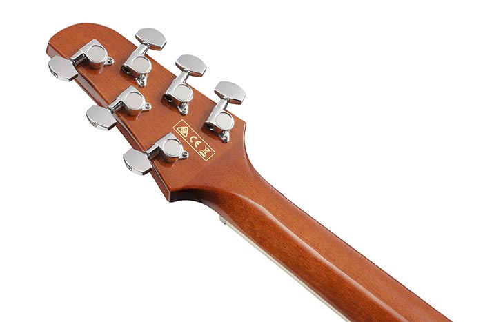 Back of the TCM50-NT's headstock