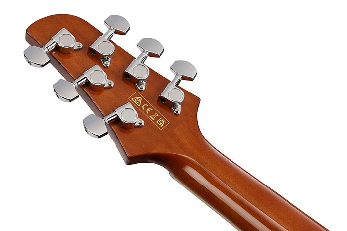 Back of the TCM50-NT's headstock