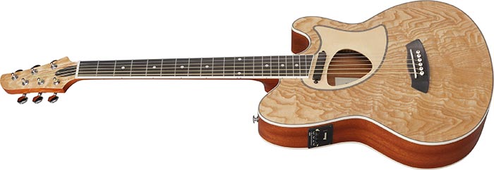 Entire top of the  TCM50-NT