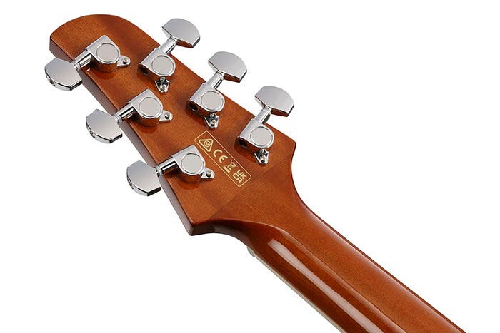 Back of the TCM50-VBS's headstock