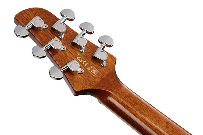 Back of the TCY10E-IVH's headstock