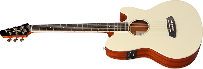 Entire top of the  TCY10E-IVH