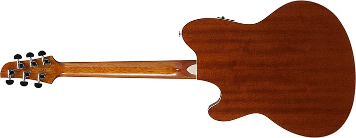 Entire back of the  TCY10E-IVH