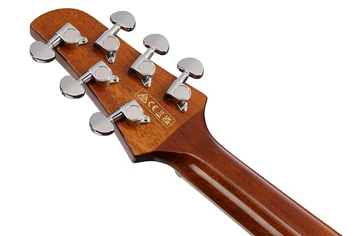 Back of the TCY10E-SFH's headstock