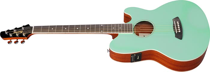 Entire top of the  TCY10E-SFH