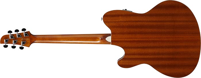 Entire back of the  TCY10E-SFH