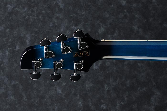 Back of the TCY10E-TBS's headstock