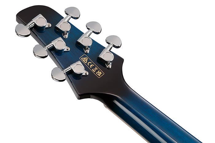 Back of the TCY10E-TBS's headstock