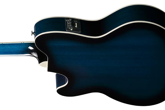 Back of the TCY10E-TBS's body