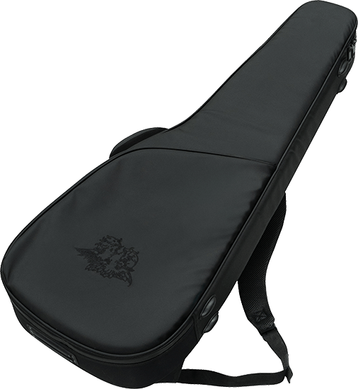 THGB1 (Tim Henson Signature Gig Bag)