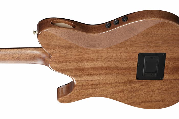 Back of the TOD100N-NT's body