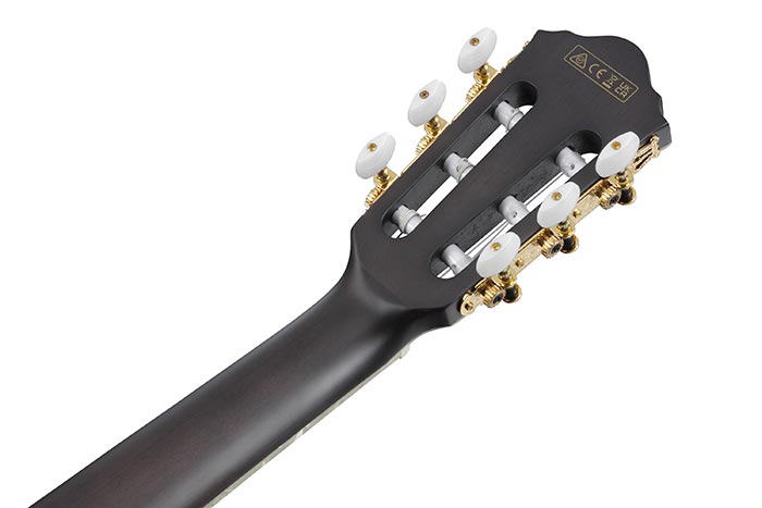 TOD10NL | TOD | ACOUSTIC GUITARS | PRODUCTS | Ibanez guitars