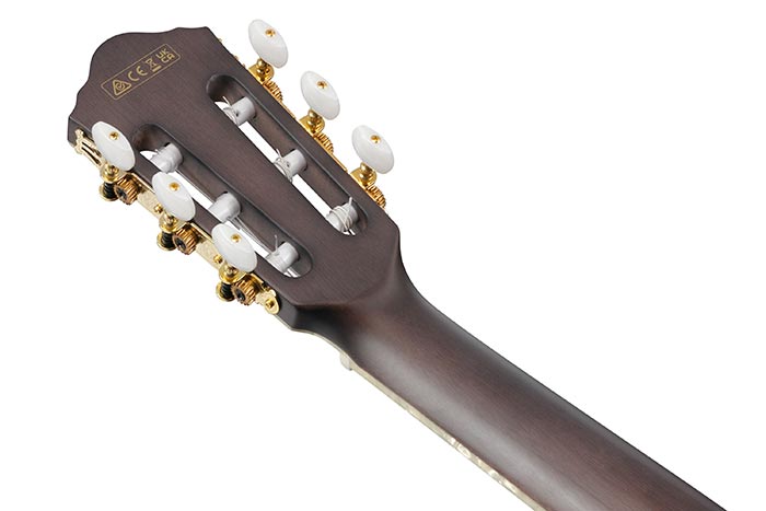 Back of the TOD10N-TKF's headstock