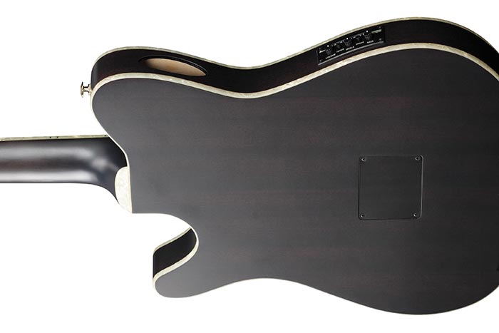 TOD10N | TOD | ACOUSTIC GUITARS | PRODUCTS | Ibanez guitars