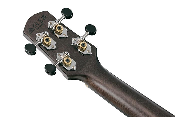 Back of the UEW12E-BIF's headstock