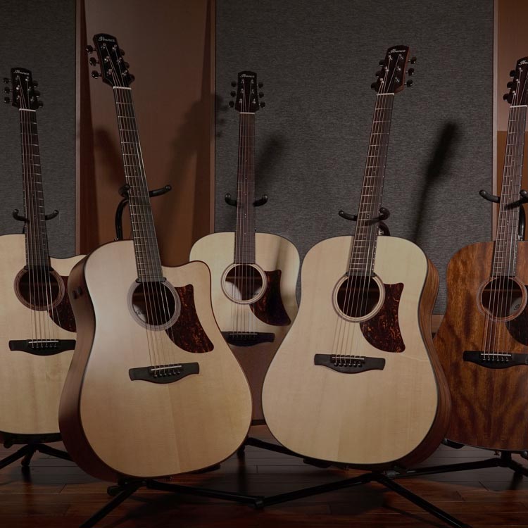 ACOUSTIC GUITARS