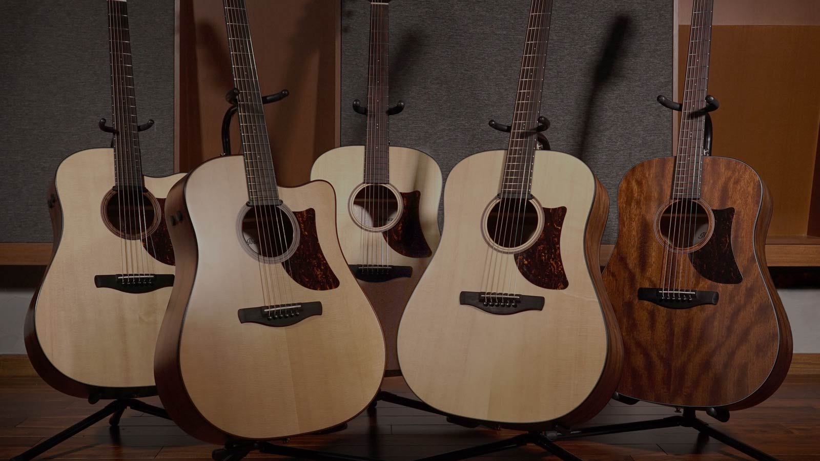 Acoustic Guitars