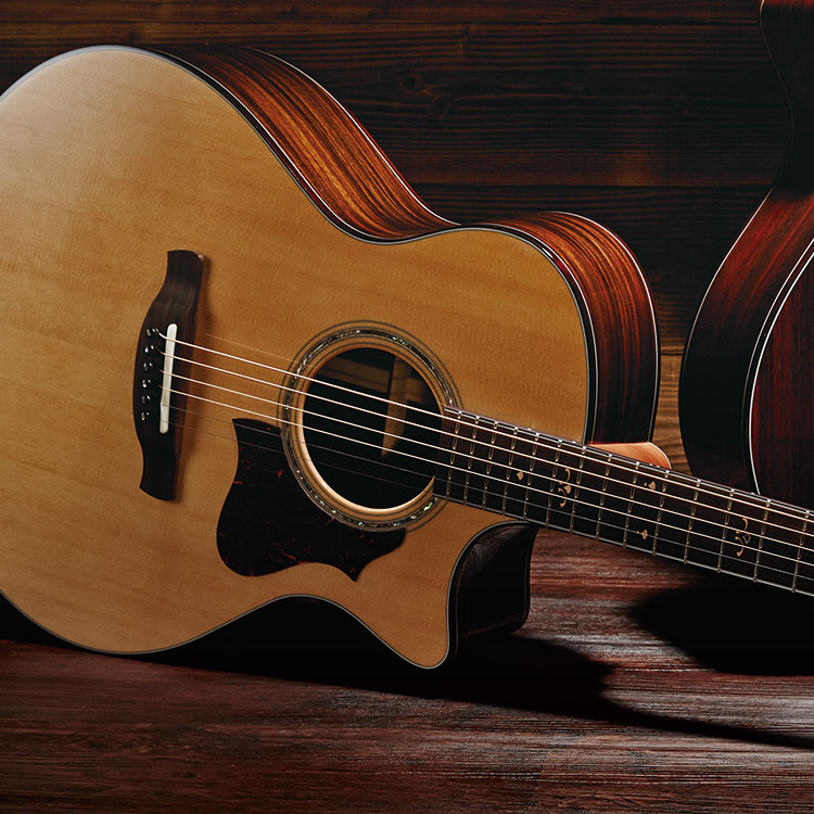 ACOUSTIC GUITARS