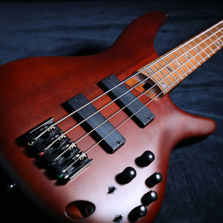 ELECTRIC BASSES