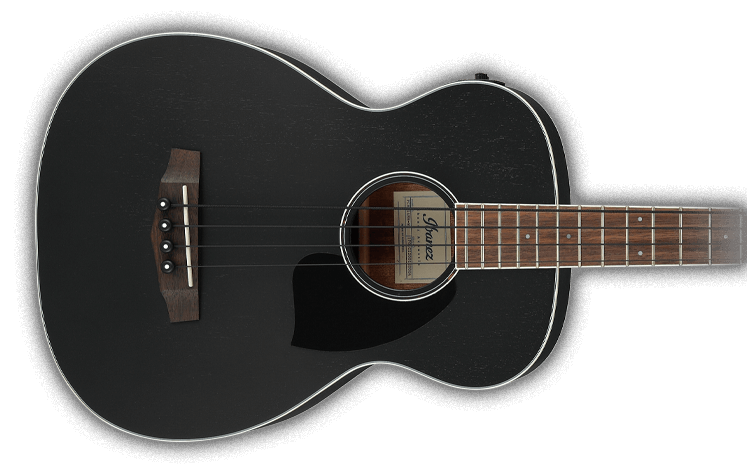 Optø, optø, frost tø Ingen Lejlighedsvis ACOUSTIC BASS | PRODUCTS | Ibanez guitars